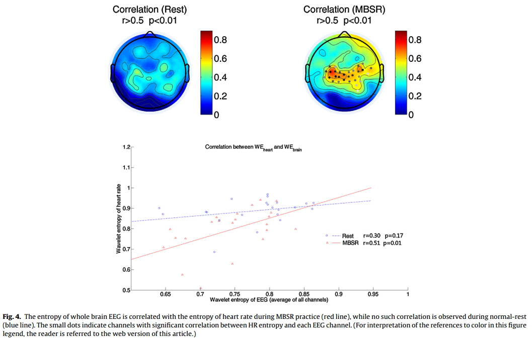 heart and brain connection during MBSR